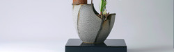 Vases ikebana
