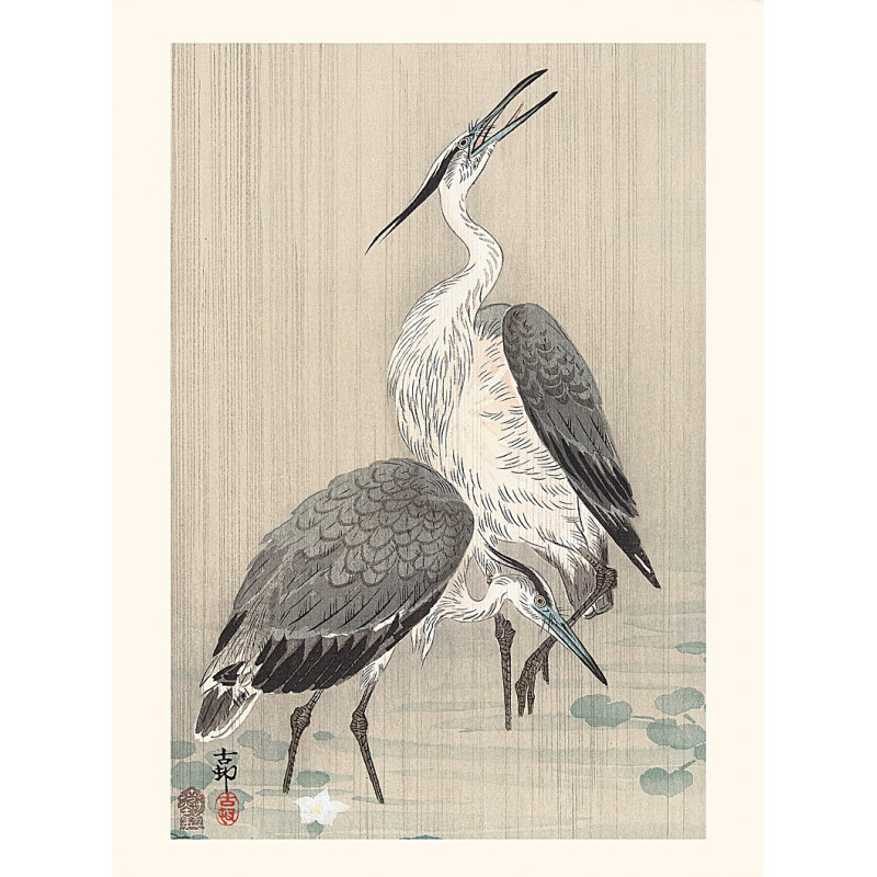 Japanese print, Gray herons, Ohara Koson