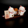 Duo of small Japanese cats sake celebration, SAKE NEKO
