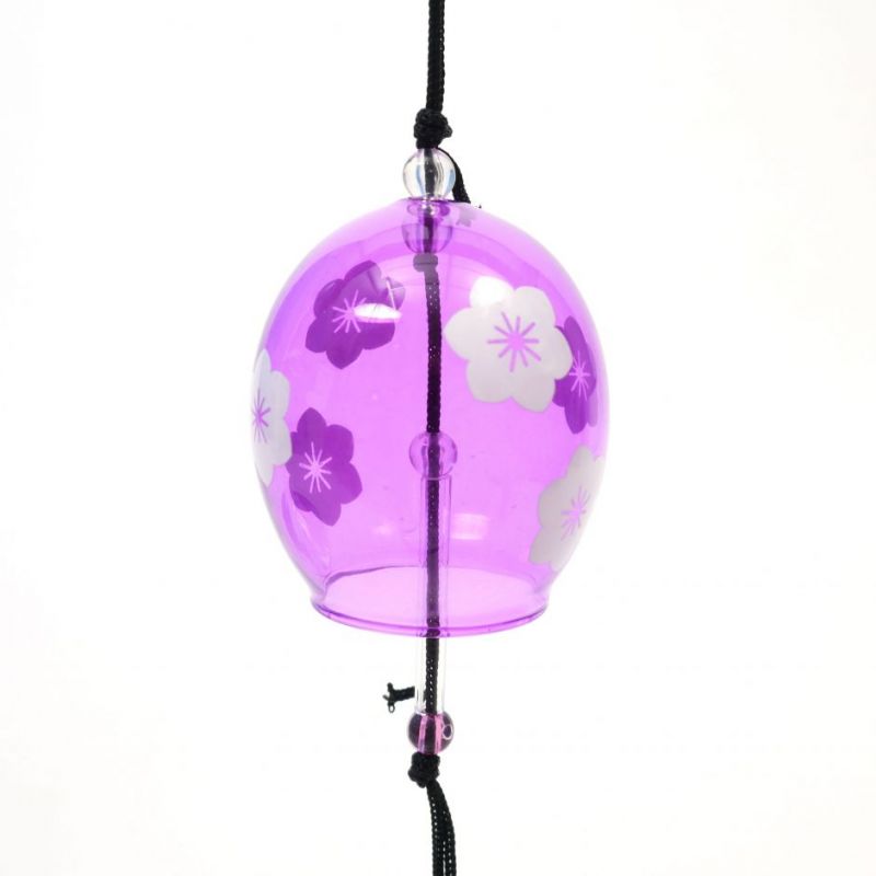 Japanische Glaswindglocke - KIKYO, Ballonblume