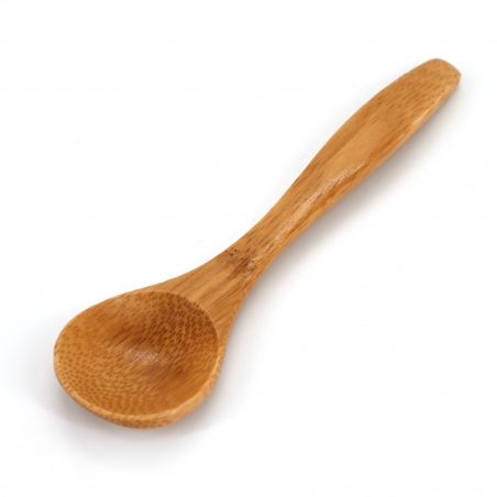 Japanese bamboo coffee spoon - TAKE