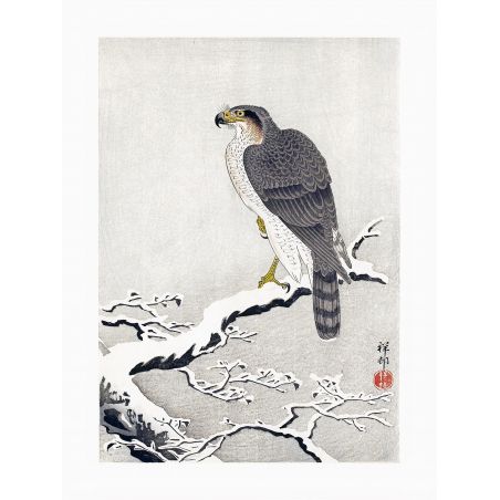 Estampado japonés, Halcón en la nieve, OHARA KOSON