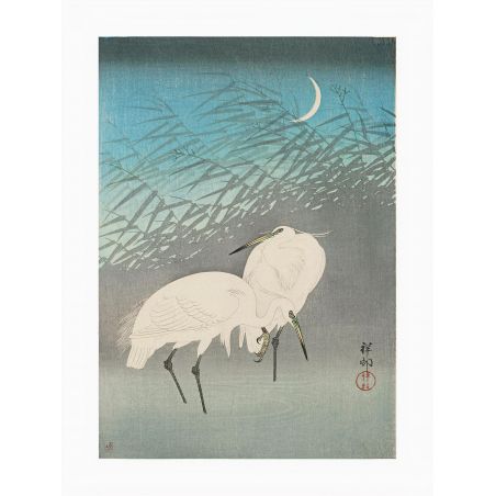 Grabado japonés, Garzas entre los juncos, OHARA KOSON