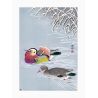 Estampado japonés, Dos patos mandarines y nieve, OHARA KOSON