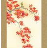 Japanese Kakemono Kakejiku, Autumn - MOMIJI
