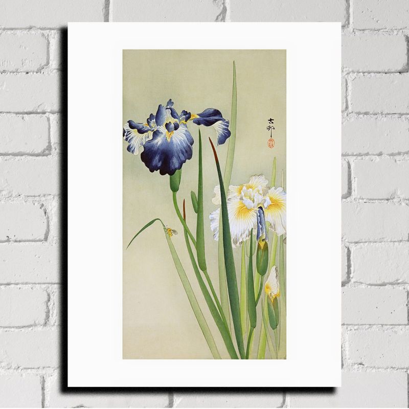 Estampe japonaise, Iris,OHARA KOSON