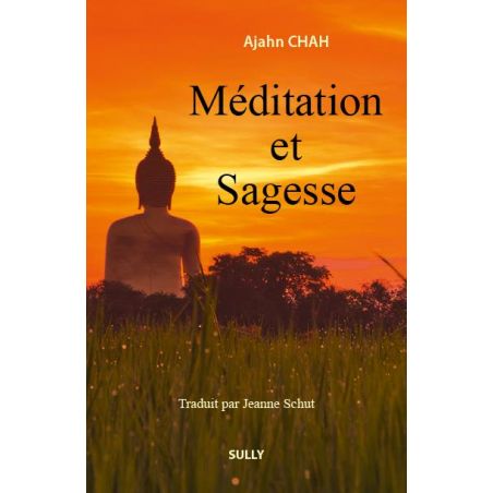 Libro - Meditazione e saggezza, A.Chah