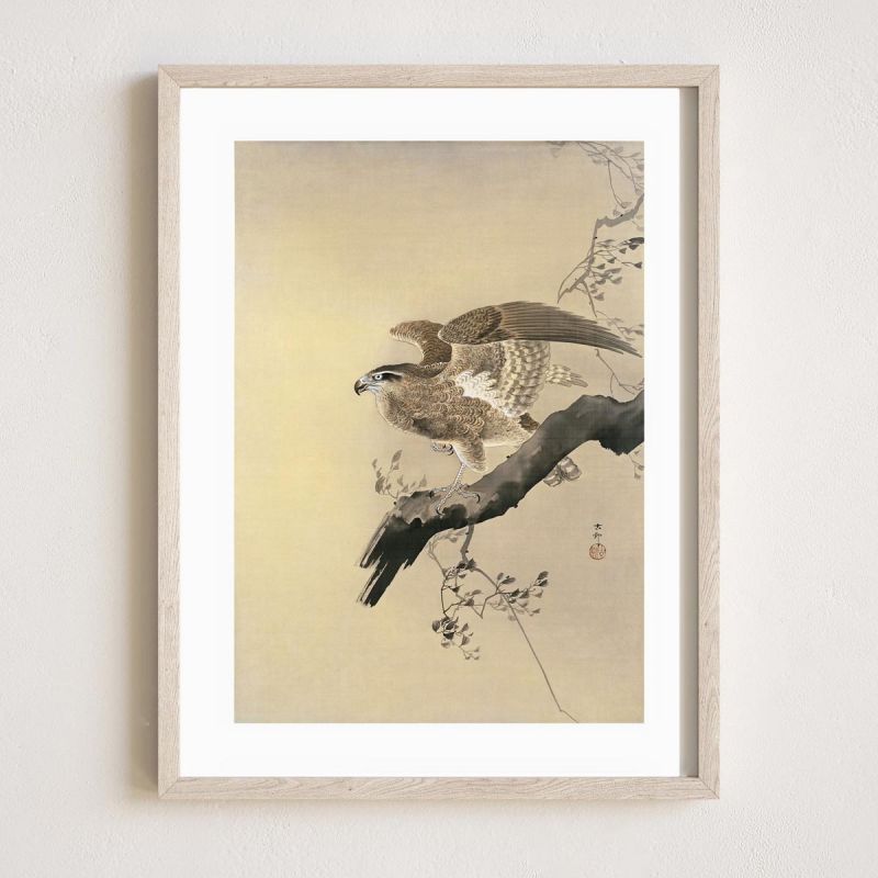 Grabado japonés, Un águila 1, OHARA KOSON