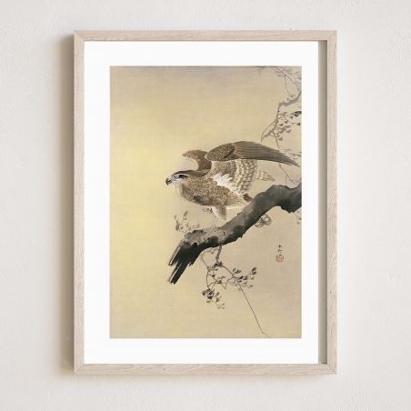 Japanese print, An eagle 1, OHARA KOSON