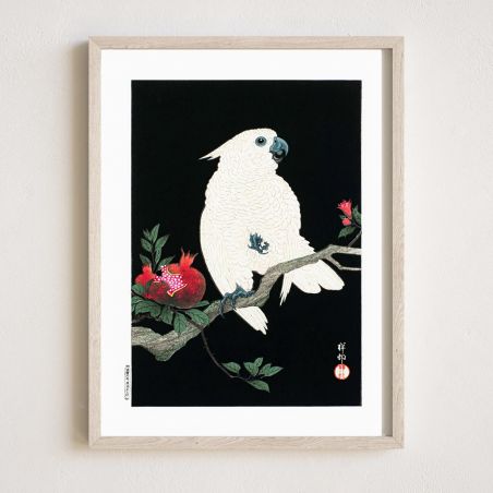 Japanese print, Parakeet, OHARA KOSON