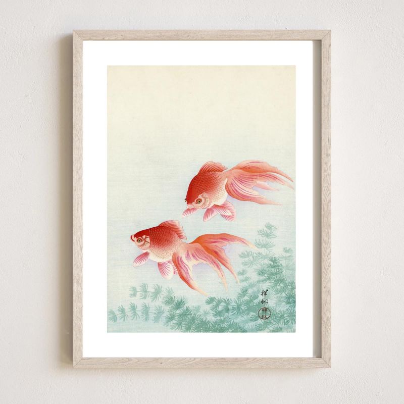 Japanese print, Two goldfish, OHARA KOSON