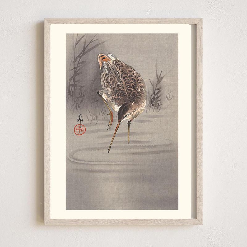 Impresión japonesa, Solitaria Snipe, OHARA KOSON