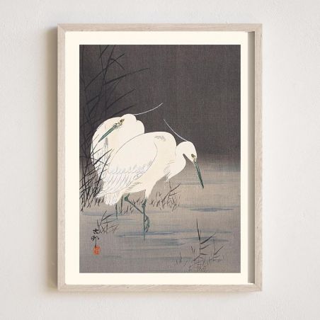 Japanese print, Little Egrets, OHARA KOSON