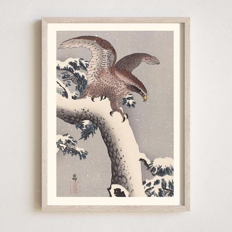 Japanese print, Eagle, OHARA KOSON