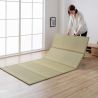 Traditional Japanese Mat, Rice Straw Tatami Mat (Yumemi Tatami), 5-Fold Panels