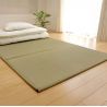 Traditional Japanese Mat, Rice Straw Tatami Mat (Yumemi Tatami), 5-Fold Panels