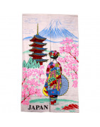 Noren giapponese: tende tradizionali per separare gli spazi e segnare l'ingresso