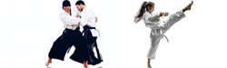 Equipment for Japanese Martial Arts